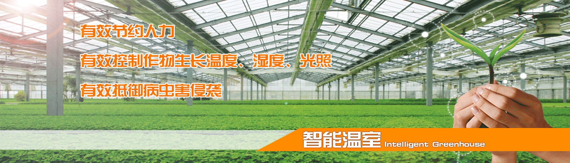 潤(rùn)維農(nóng)業(yè),溫室大棚,蔬菜大棚,養(yǎng)殖大棚,防火養(yǎng)豬鵬,防火養(yǎng)雞棚,養(yǎng)雞大棚,智能控溫養(yǎng)豬棚,塑料溫室,養(yǎng)豬大棚,恒溫養(yǎng)殖棚