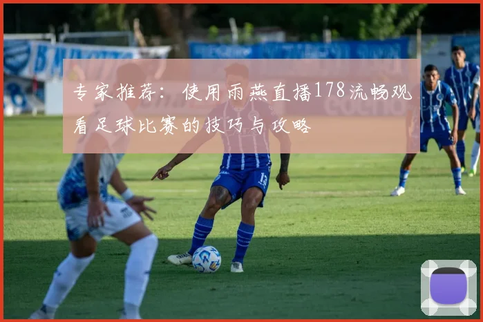 专家推荐：使用雨燕直播178流畅观看足球比赛的技巧与攻略