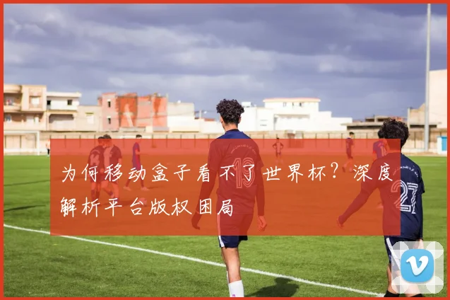 为何移动盒子看不了世界杯？深度解析平台版权困局