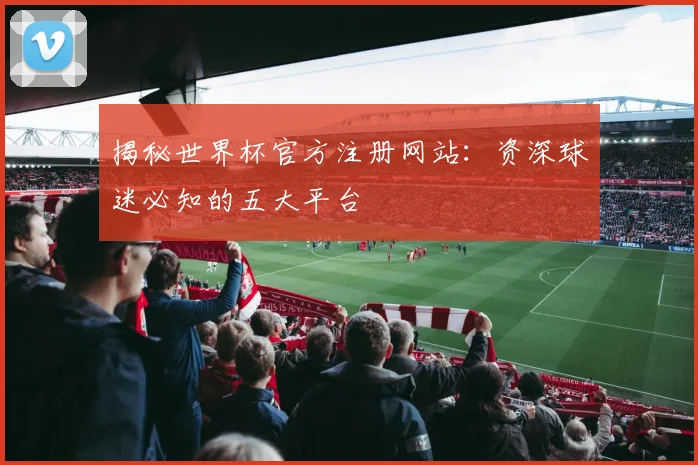 揭秘世界杯官方注册网站：资深球迷必知的五大平台
