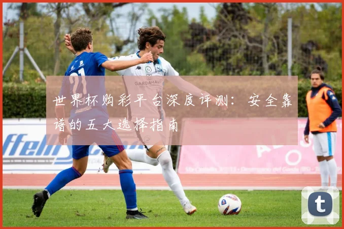 世界杯购彩平台深度评测：安全靠谱的五大选择指南