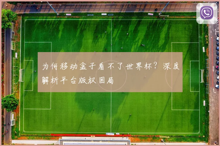 为何移动盒子看不了世界杯？深度解析平台版权困局