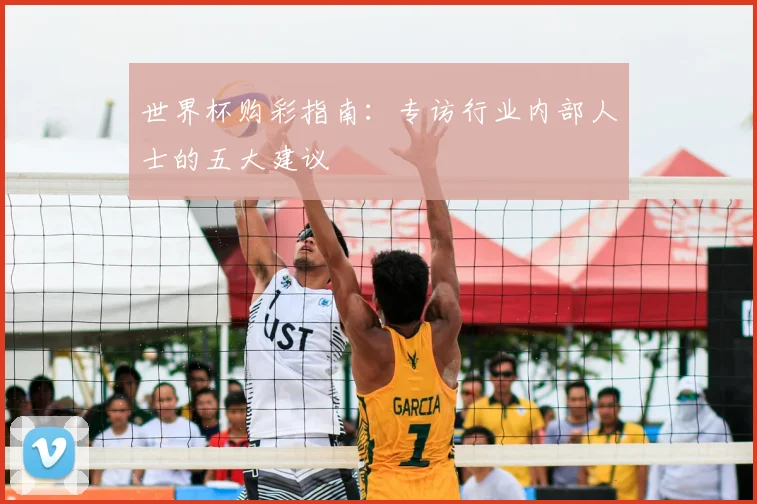 世界杯购彩指南：专访行业内部人士的五大建议