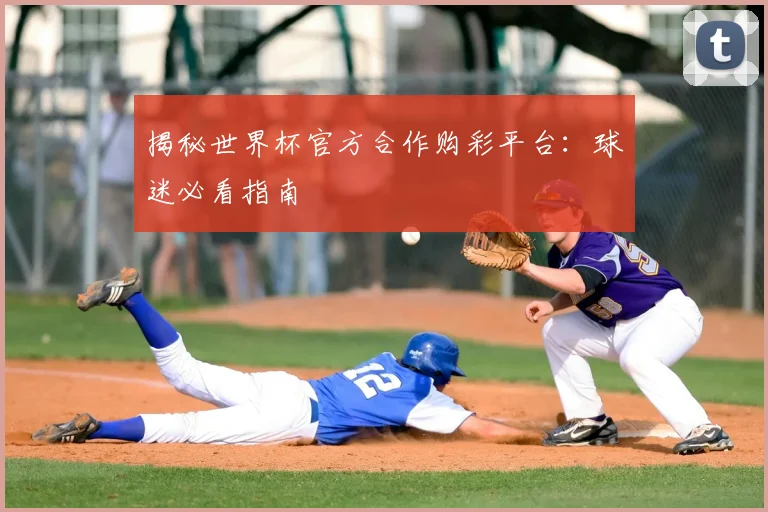 揭秘世界杯官方合作购彩平台：球迷必看指南