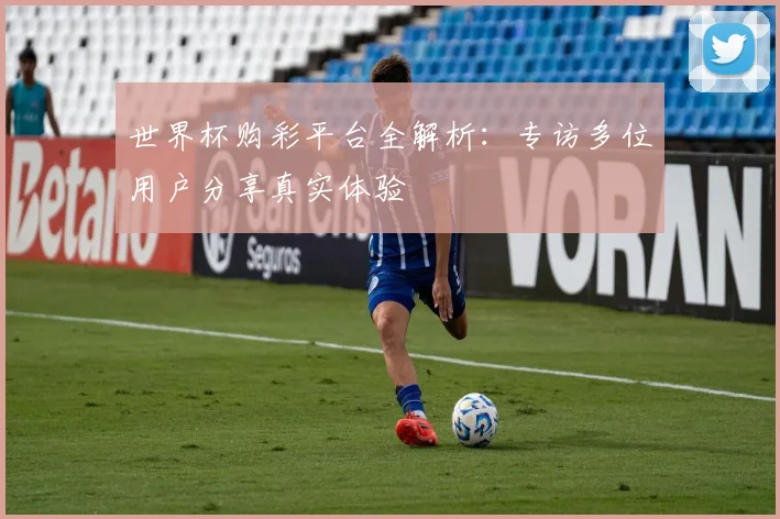 世界杯购彩平台全解析：专访多位用户分享真实体验